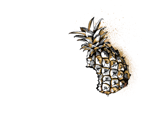 Bobbing For Pineapples Pineapple