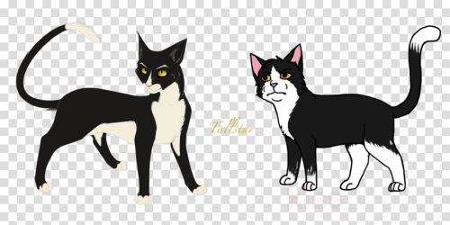 All Warrior Cats Clipart Kitten Whiskers Cat Cat