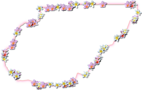 A Map Of Union With A Coral Color Glow Border And Pink Floral Design