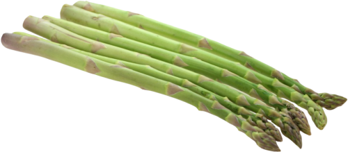 Asparagus Png Clipart Asparagus Png