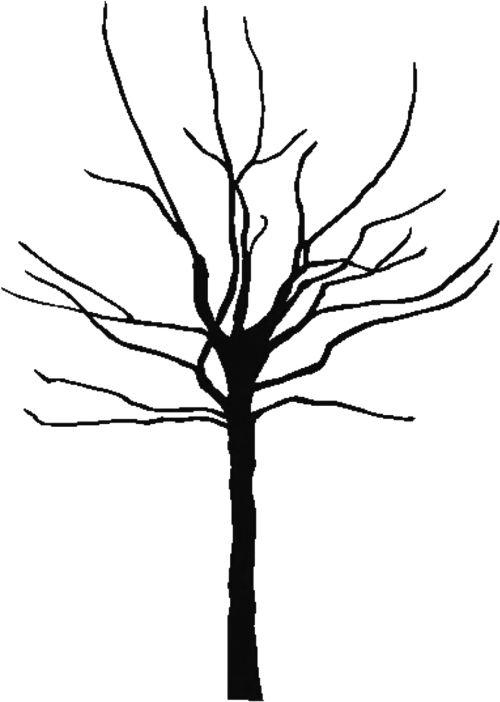 Bare Tree Clipart Bare Clipart Tree