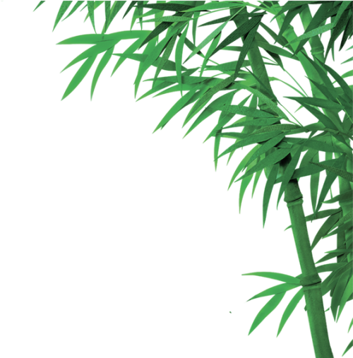 Bamboo Png, Download Png Image With Transparent Background, 竹子 水墨 背景