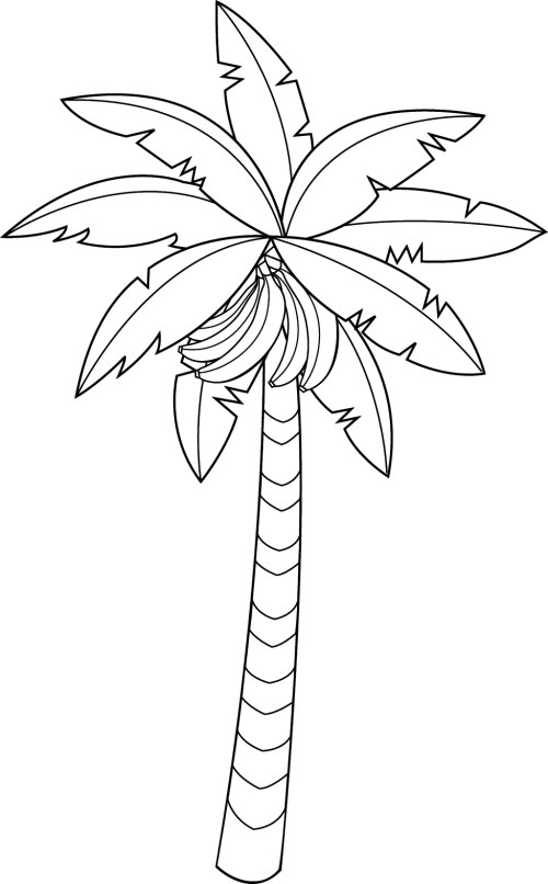 28 Collection Of Banana Tree Clipart Black And White Easy Banana Tree Drawing