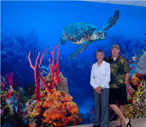 A Closer Look At This Section With Cathy And Charles Hawksbill Sea Turtle