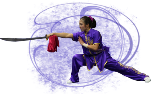 Amy Wushu Kung Fu Png