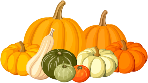 Autumn Pumpkins Png Clip Art Image Pumpkin And Fall Clip Art