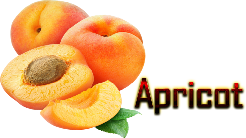 Apricot Png