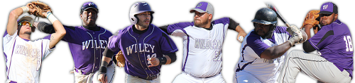 Wildcat Athletics Wildcat Athletics Wiley College Baseball Uniform