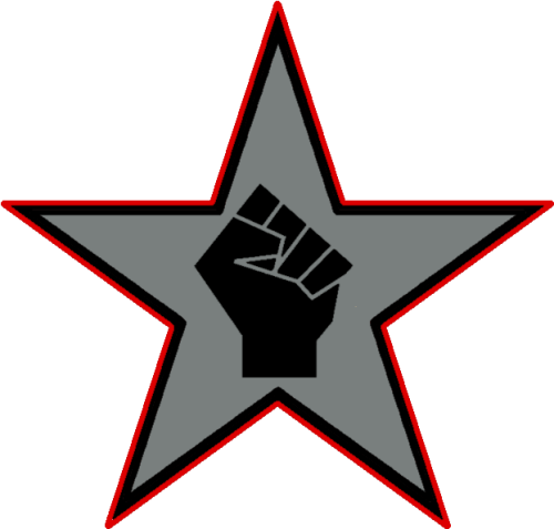 Volosia Black Hand Star Logo