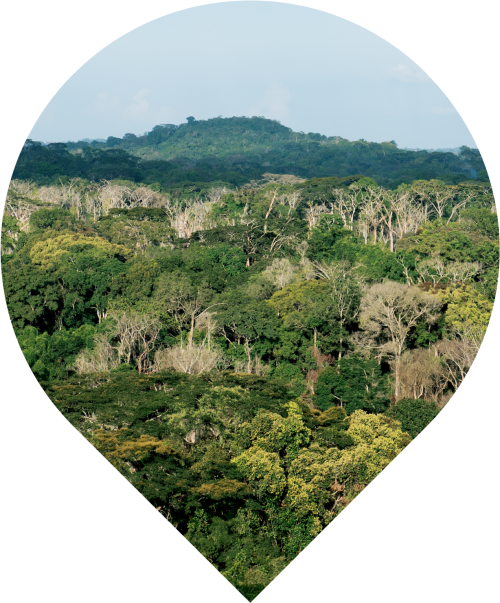 Wider Taï Forest Area, Côte D'ivoire Hill