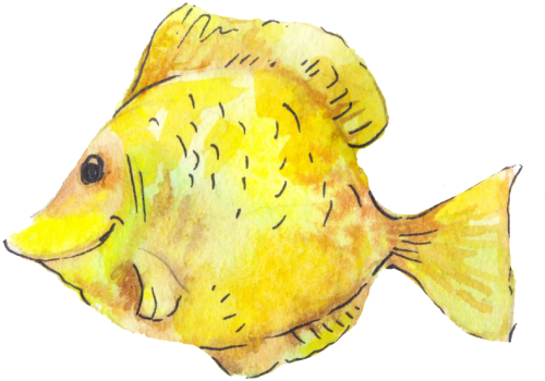 Yellow Small Fish Png Transparent Watercolor Painting