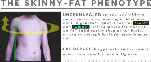 What Is Skinny Fat Syndrome Or A Skinny Fat Ectomorph