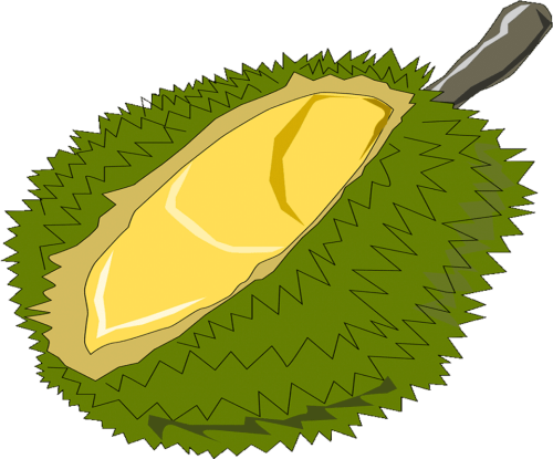 Vector Royalty Free Free Fruits Name Durian Clipart Png