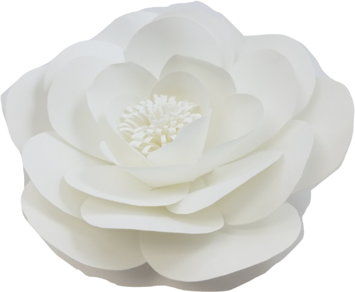 [paper Flower] [paper Flower Sets] [decor In The Box][ White Paper Floral Png