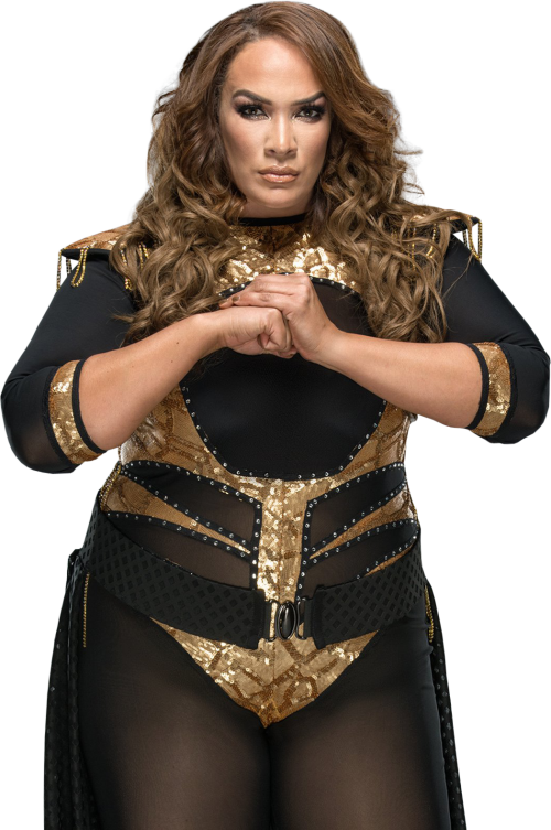 Wrestlemania 34's Coolest Ring Gear Awesome Kong Vs Nia Jax