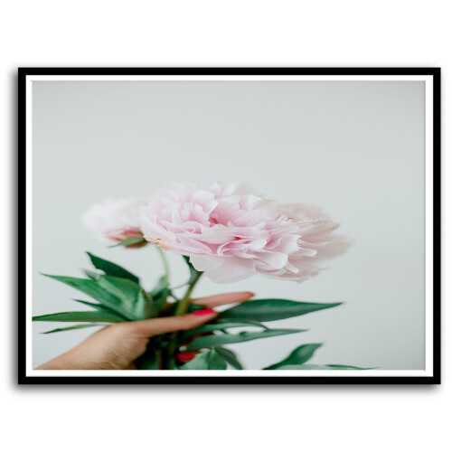 blush pink peony in hand mock1