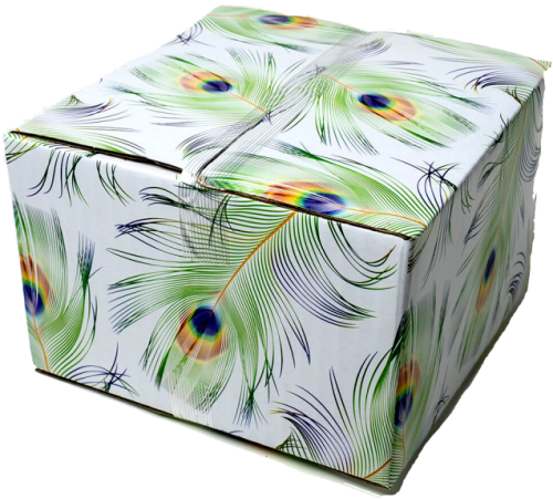 6x6x4 Peacock Designer Boxes Insect