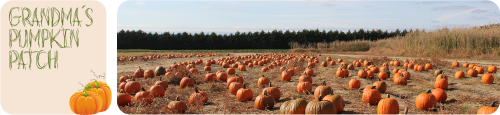 After Strolling Through The Pumpkin Patch At Grandma's Pumpkin