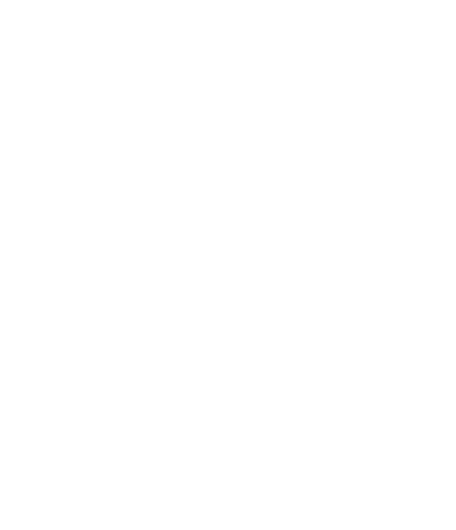 Battle Born Beer