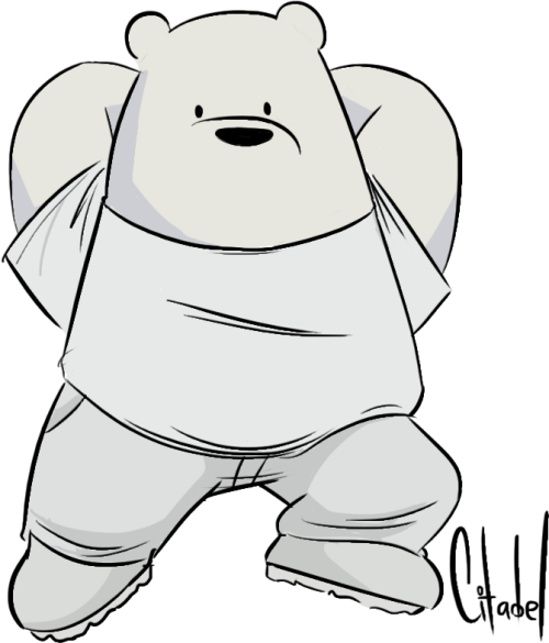 1 Yr Fashion Bears Ice Bear