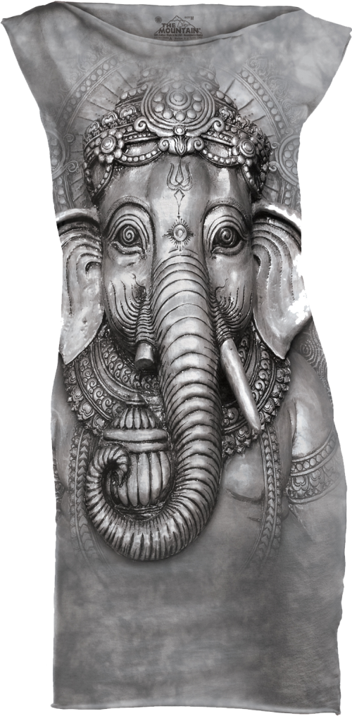 Abyssinian, Beware Of Pit Bulls, Big Face Ganesh Big Face Ganesh Spiritual T Shirt The Mountain