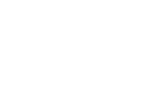 Black America Since Mlk