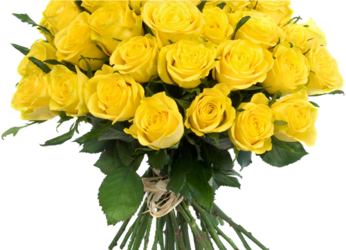 Yellow Flowers Bouquet Transparent Png Png Mart Beautiful Yellow Roses Bunch