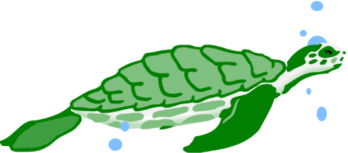 Turtles Clip Art Turtle Water Clipart