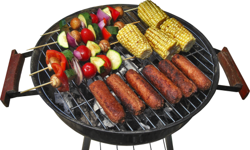 Barbeque Meaning In Hindi