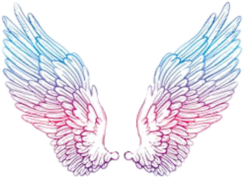 Angelwings Wings Angel Blue Pink Purple Tumblr Trend