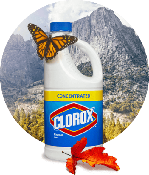 A Bottle Of Bleach Clorox Automatic Toilet Cleaner With Teflon 70ml