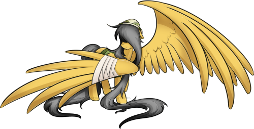 1600x816, Daring Do Wings ) Mlp Wings Art