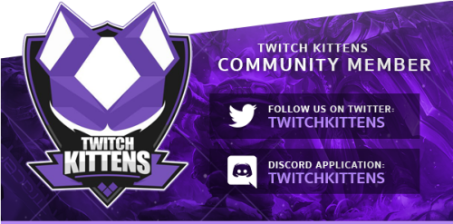 27 Feb Twitch Kittens