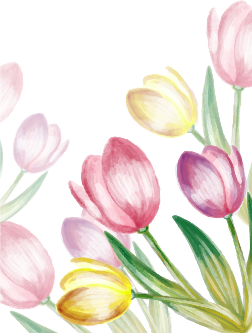 Water Painted Tulip Vector Tulips Free Vector