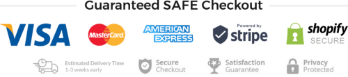 All Orders Come With Real Time Online Tracking Safe Checkout Badge Shopify