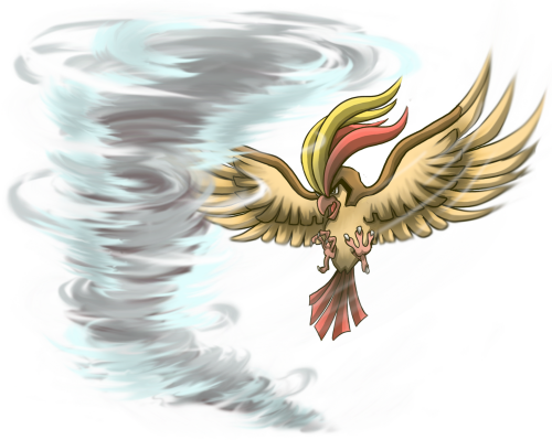 #018 Pidgeot Used Whirlwind And Aerial Ace