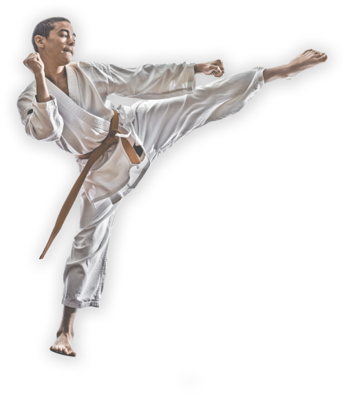 Barrington Martial Arts Karate