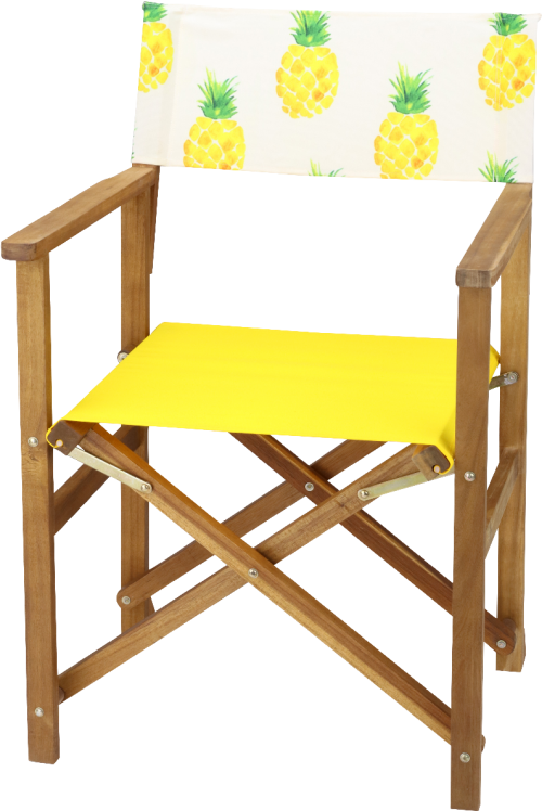 Acacia Hardwood Director Chair Set With Pineapple Print Chair