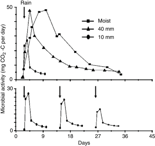 2 Effect Of Amount Of Rainfall Received On The Level Soil