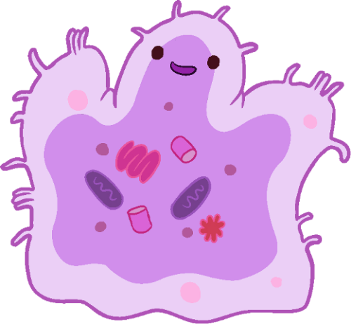 Bacteria Png Cute Bacteria Cartoon Png