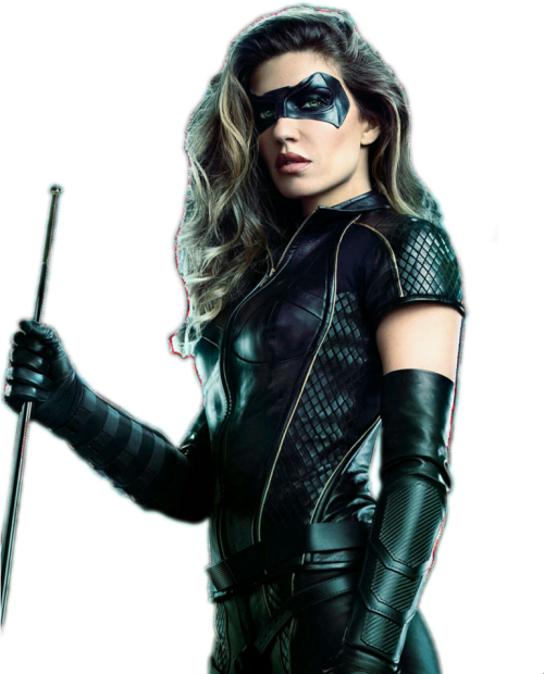 Black Canary Png Png Free Stock Black Canary Arrow Png